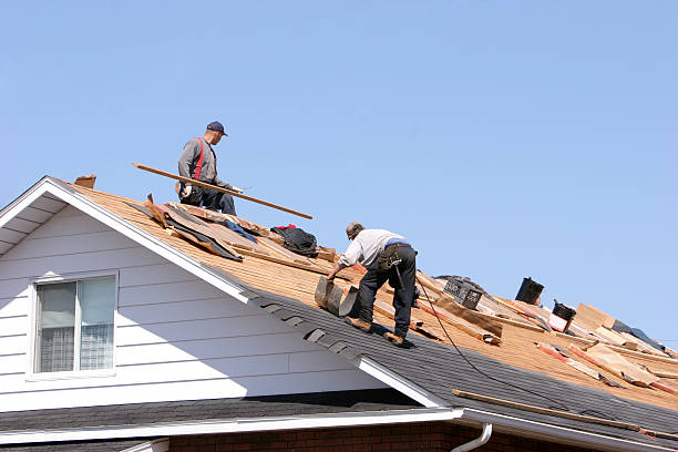 Best Roof Maintenance and Cleaning  in Traer, IA